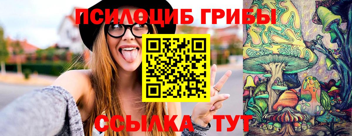 Галлюциногенные грибы мицелий Елец